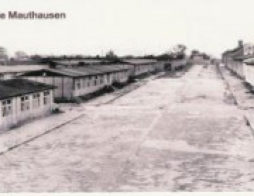 Das Konzentrationslager Mauthausen