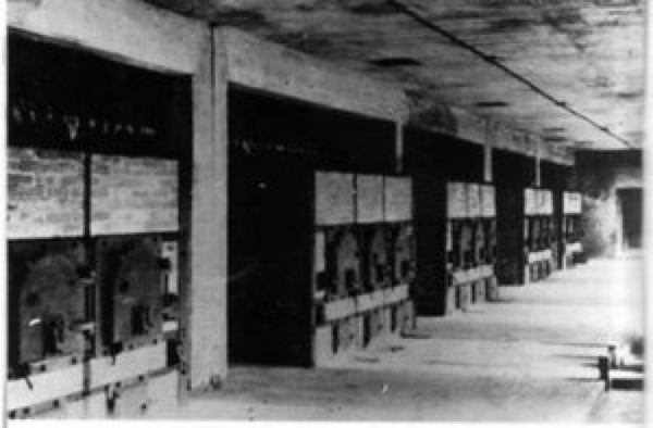 Das Sonderkommando Auschwitz-Birkenau
